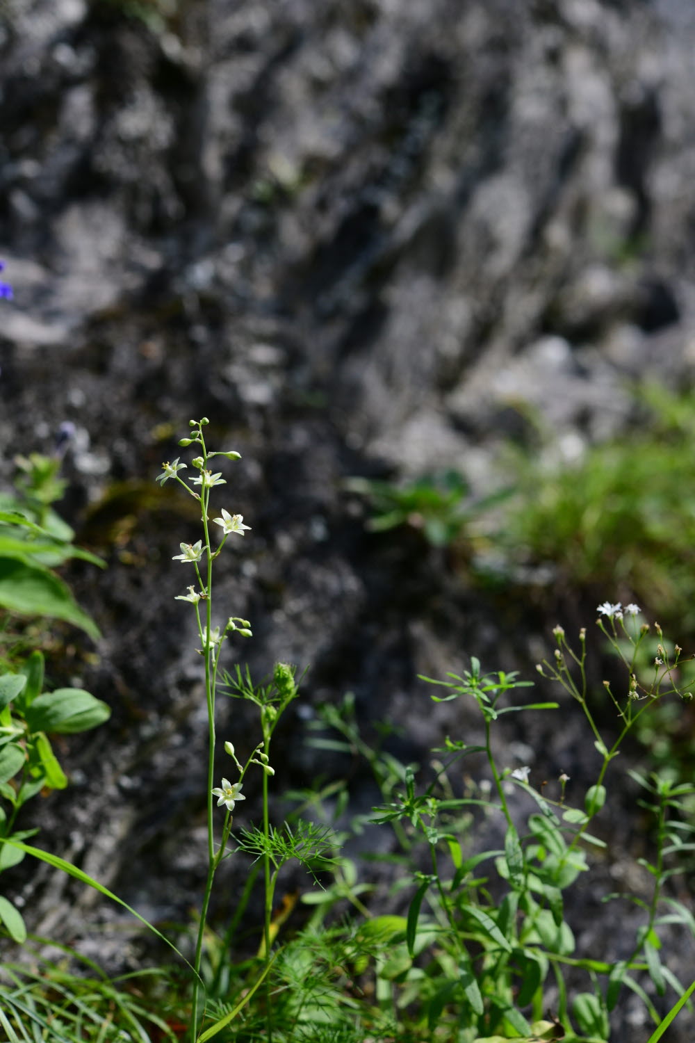 크기변환_DSC_3906.JPG