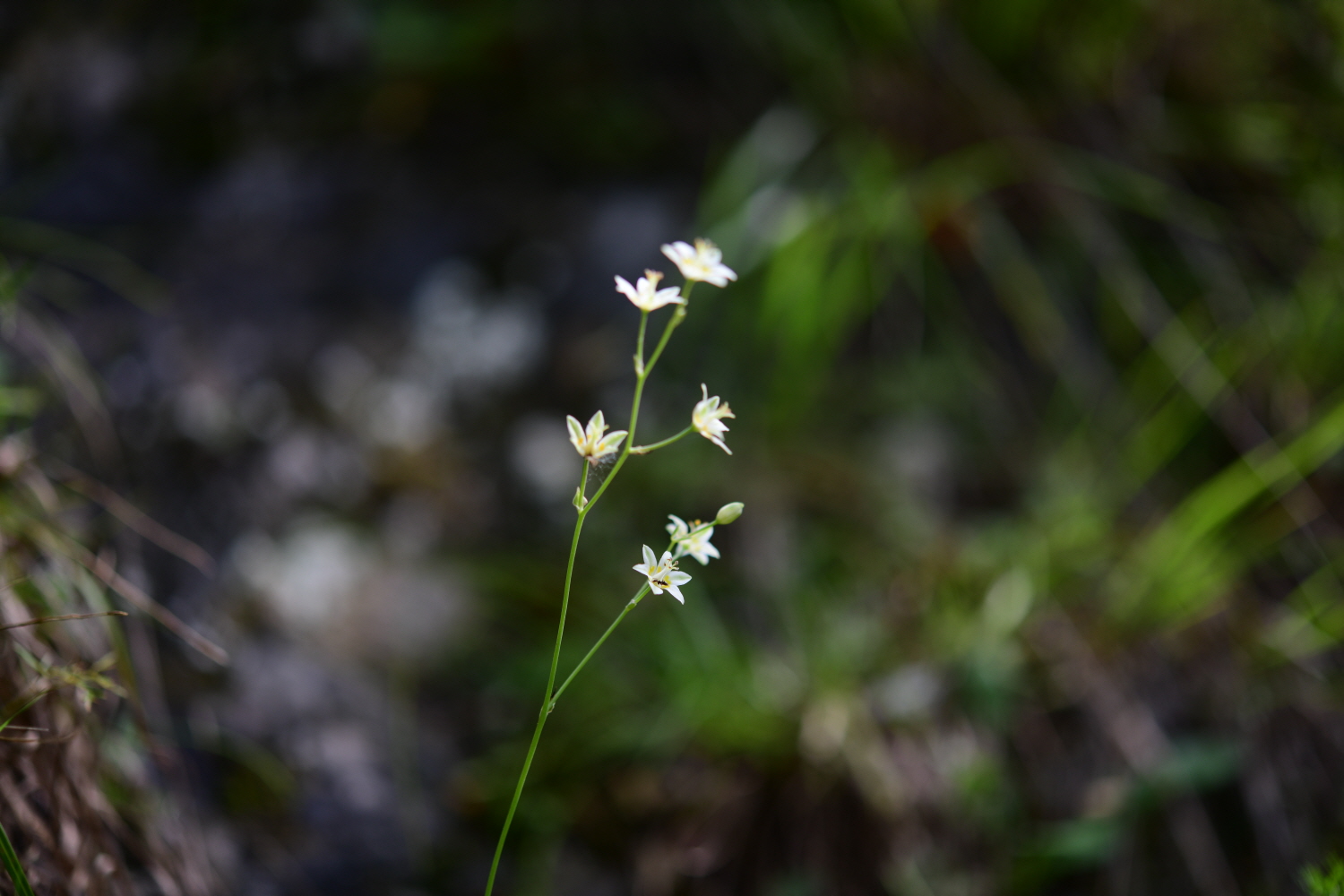 크기변환_DSC_4175.JPG