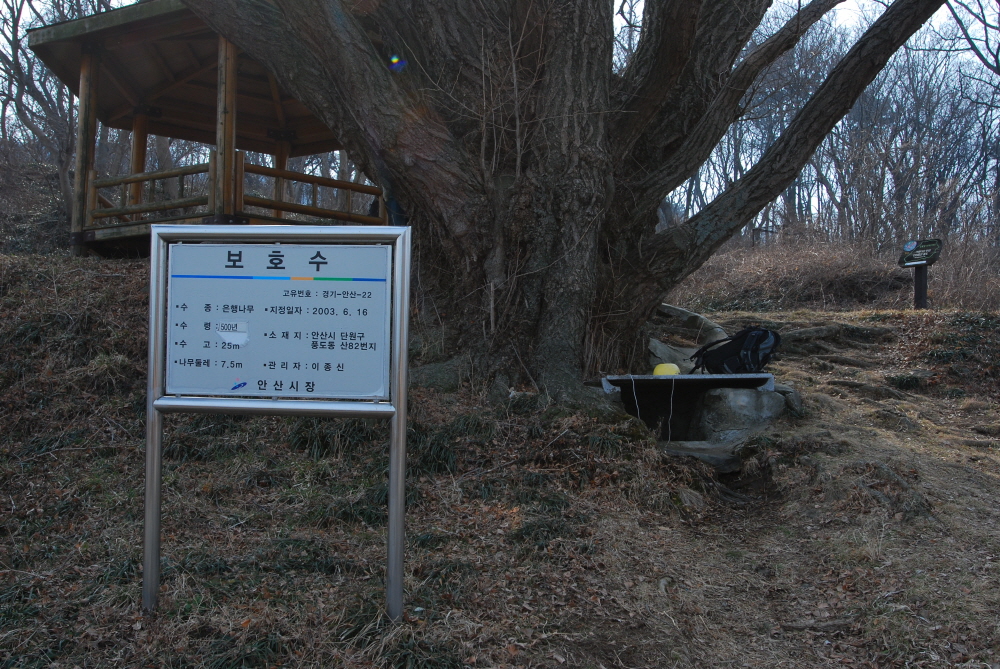 크기변환_DSC_2461.JPG