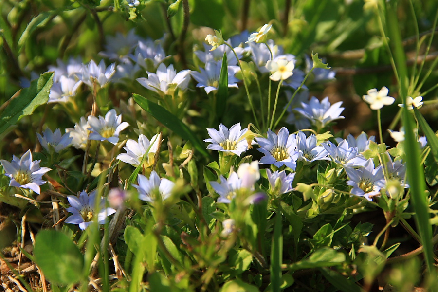 20090503_047.jpg