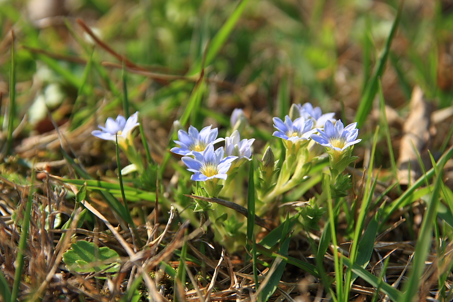 20090503_036.jpg