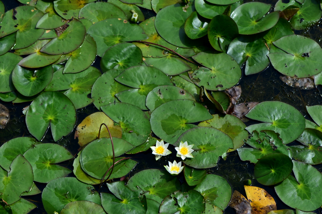 DSC_9201.JPG