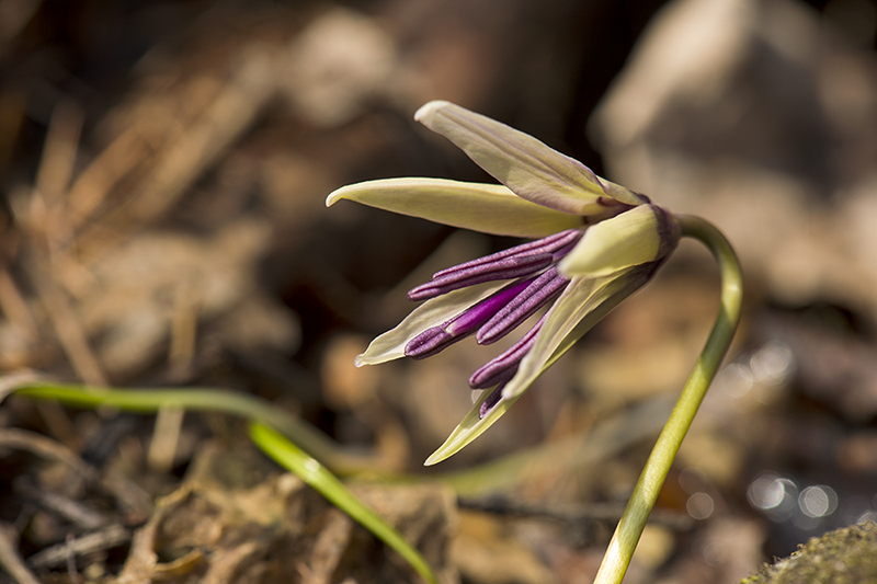 _DSC0772-1-3.jpg
