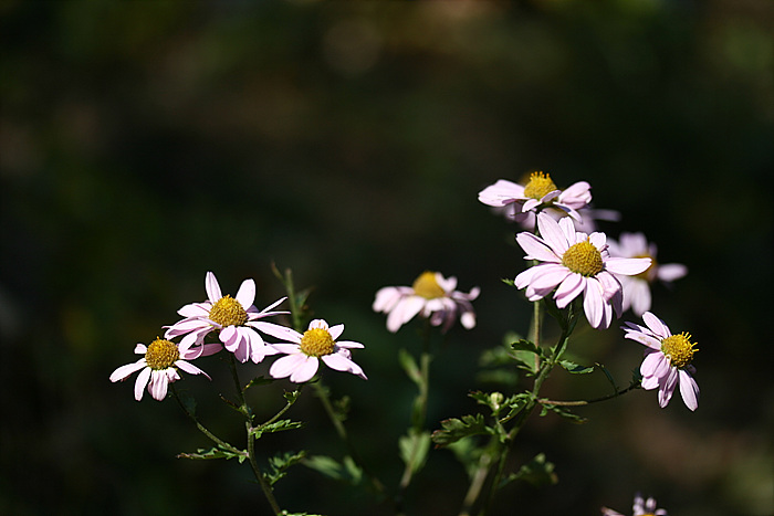 2009.10.04 172.jpg