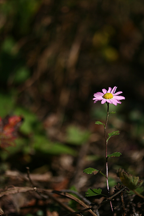 2009.10.04 155.jpg