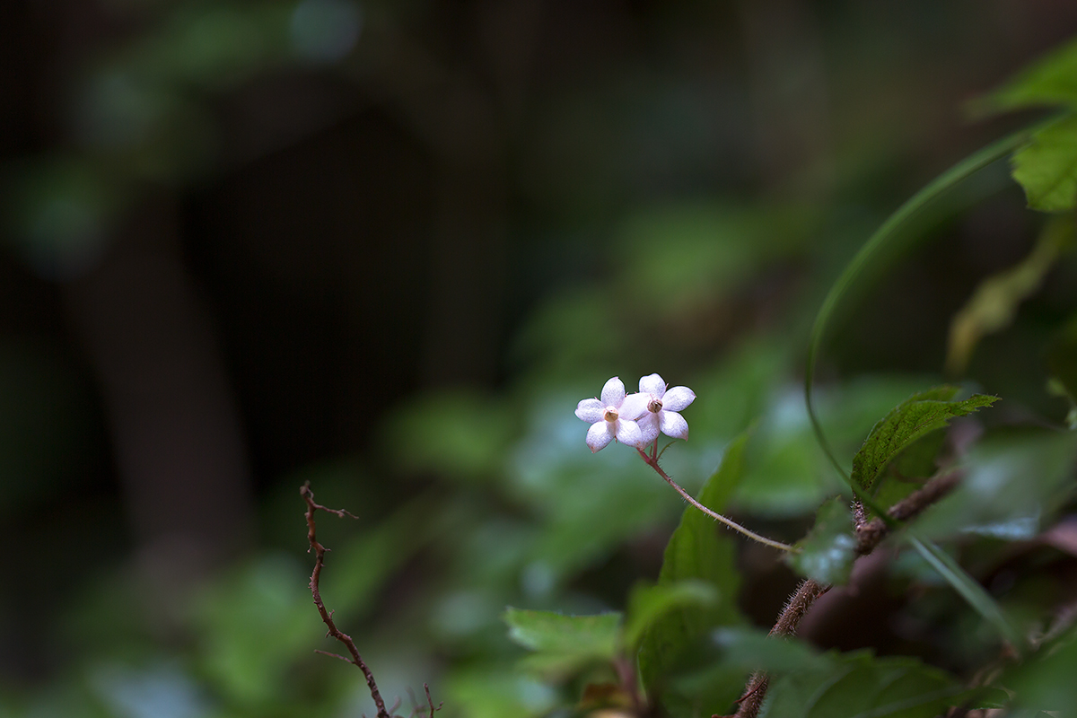 산호수_5209.jpg
