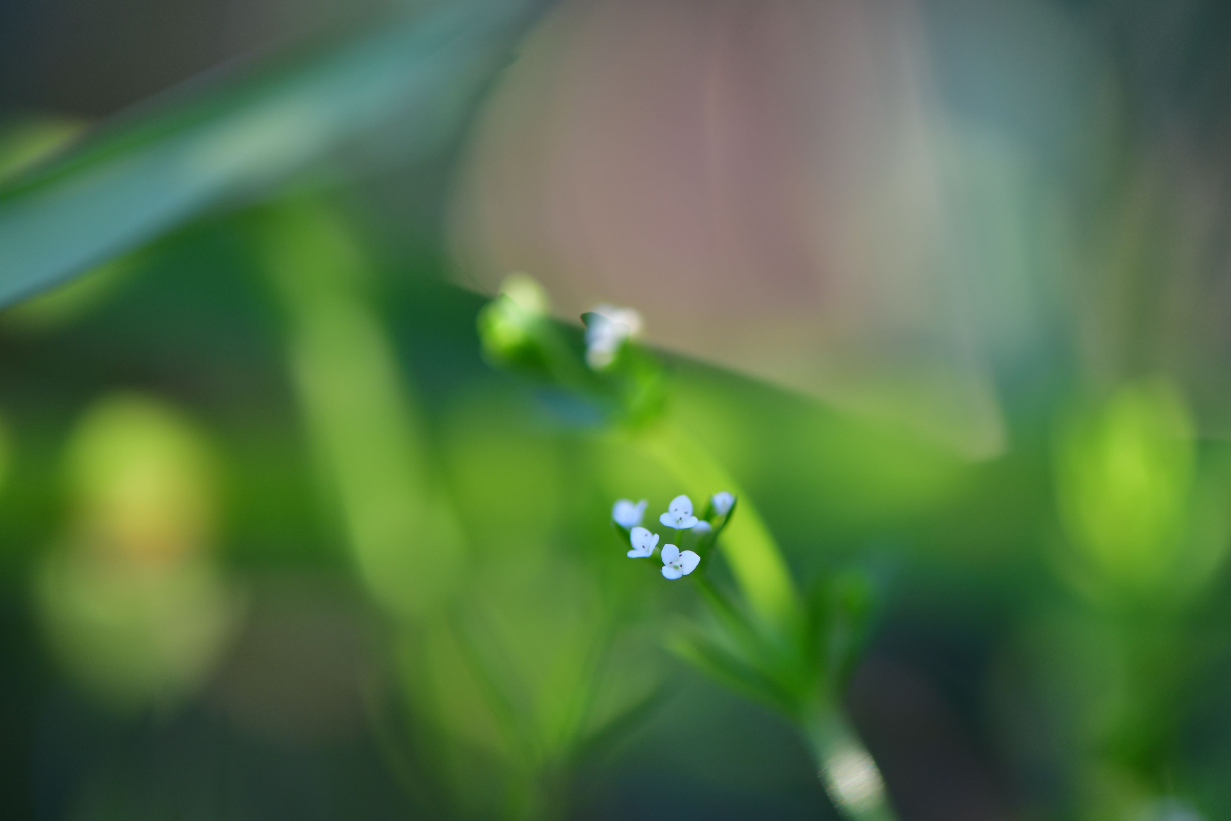DSC_1477.JPG