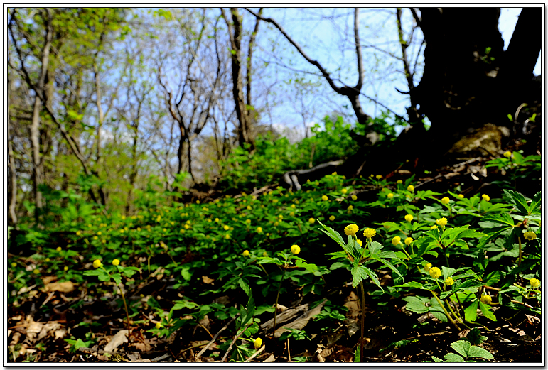 DSC_0315.jpg