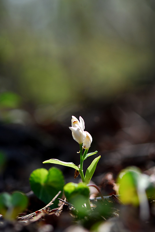 DSC_0127-1.jpg