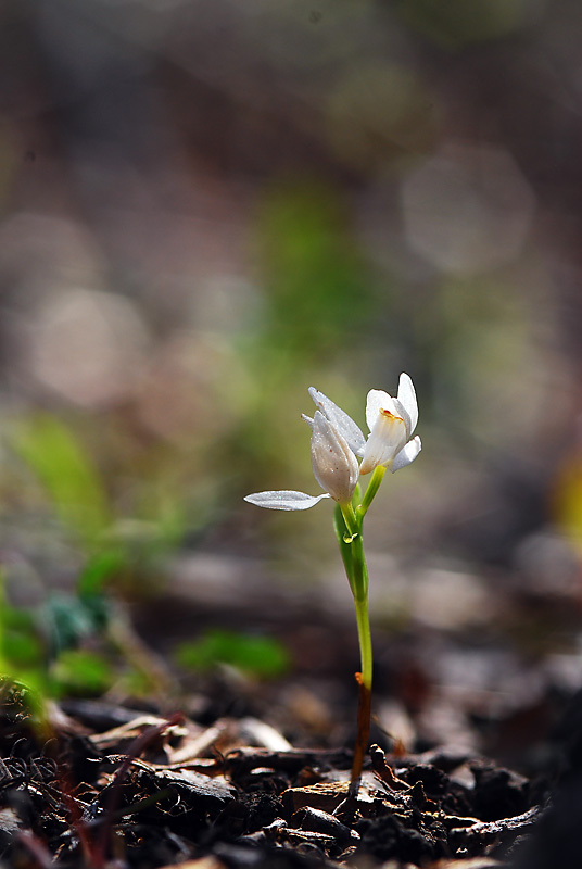 DSC_0143-1.jpg