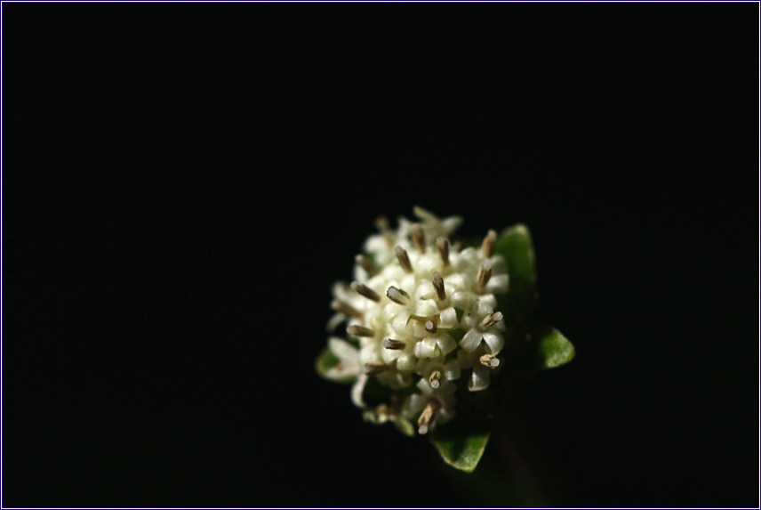 2011-09-30 017.jpg