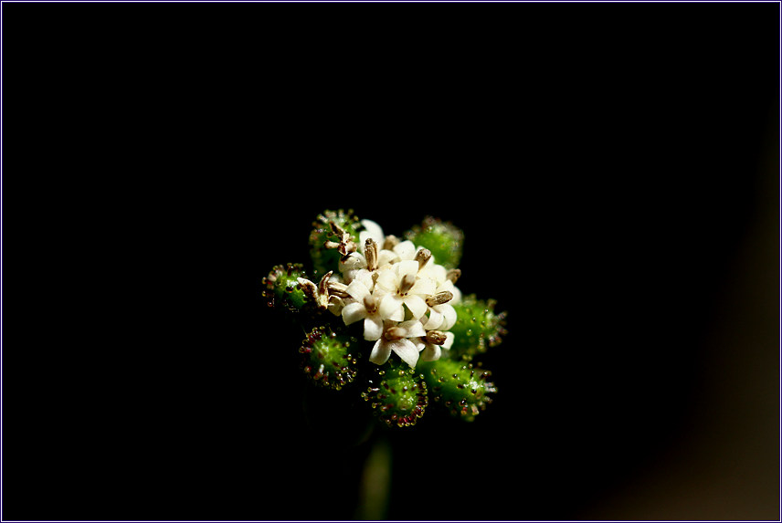 2011-09-30 007.jpg
