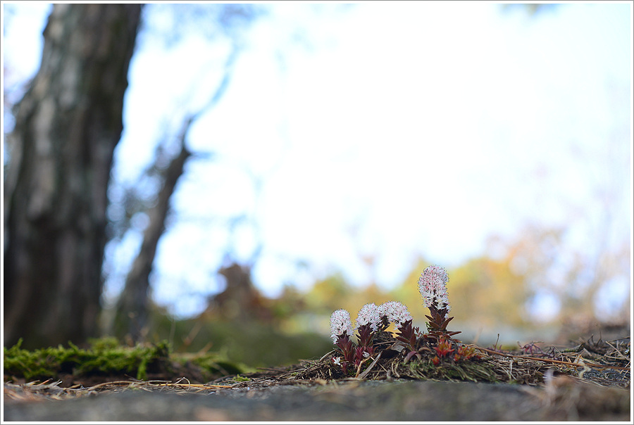 DSC_0307.jpg