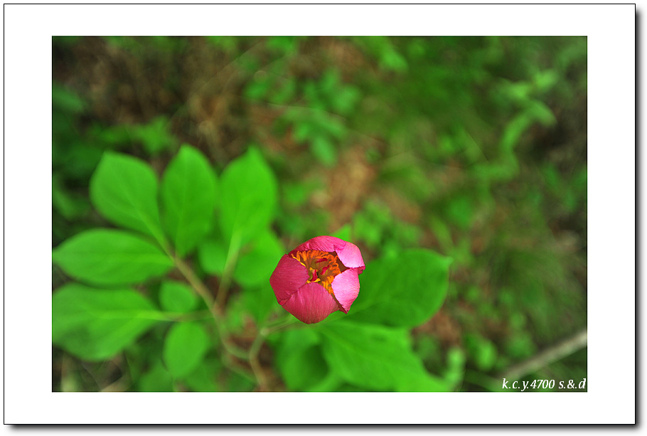 KCY_6118.jpg