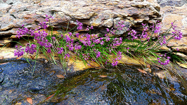 L1030602.jpg