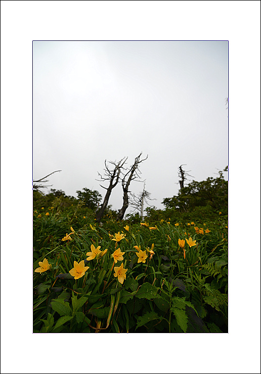 DSC_9772.jpg