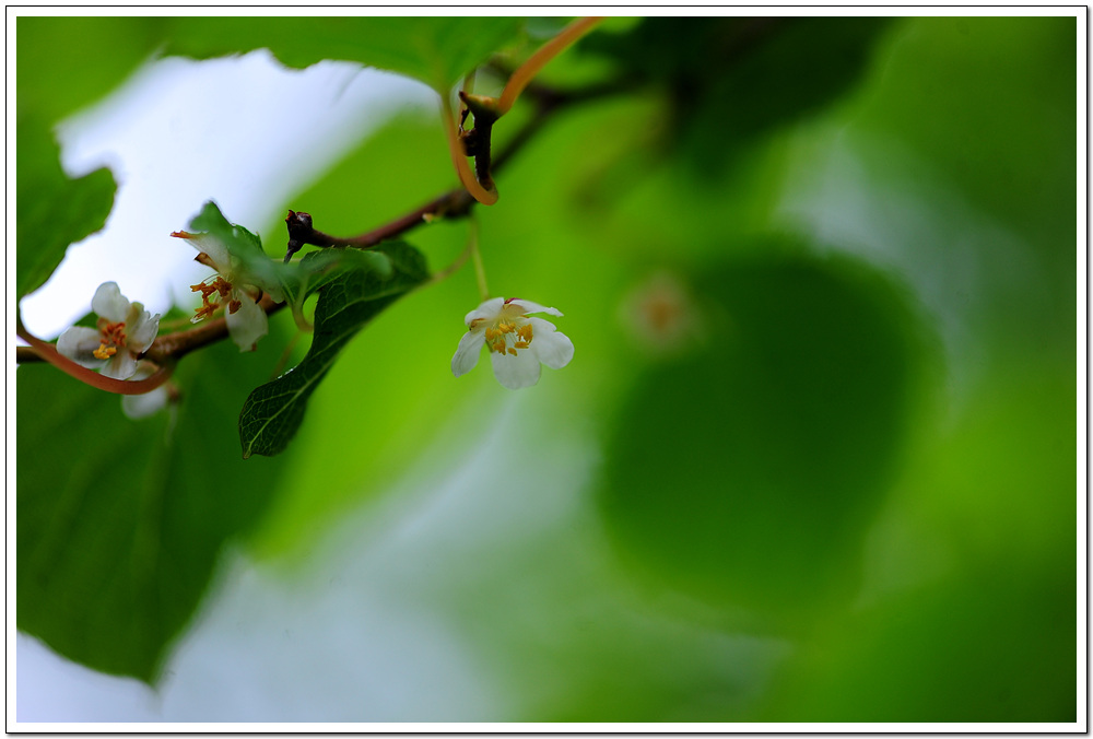 DSC_4560.jpg