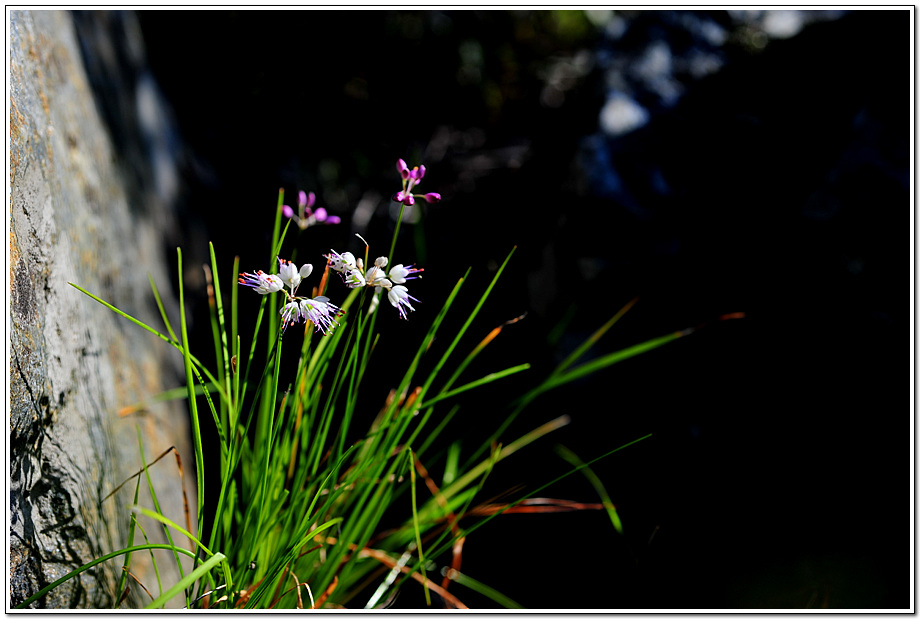 DSC_7751_276.jpg