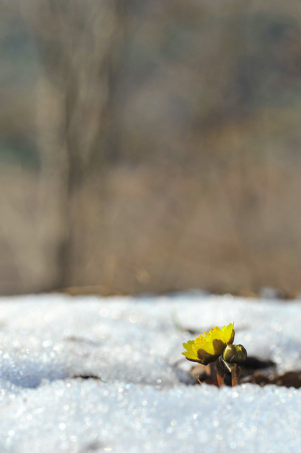 20120315_0069-1.jpg