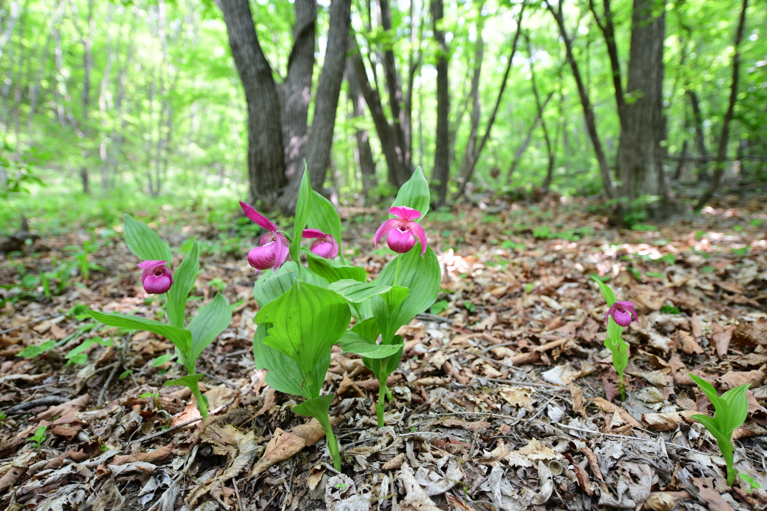 크기변환_DSC_1969.JPG