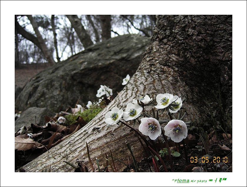 KICX227-변산1.JPG