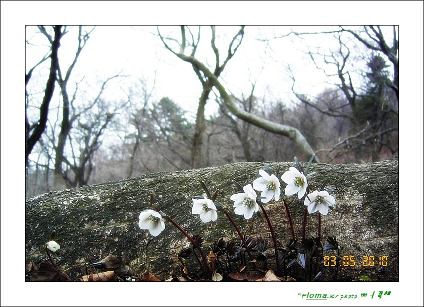 KICX2264-변산2.JPG