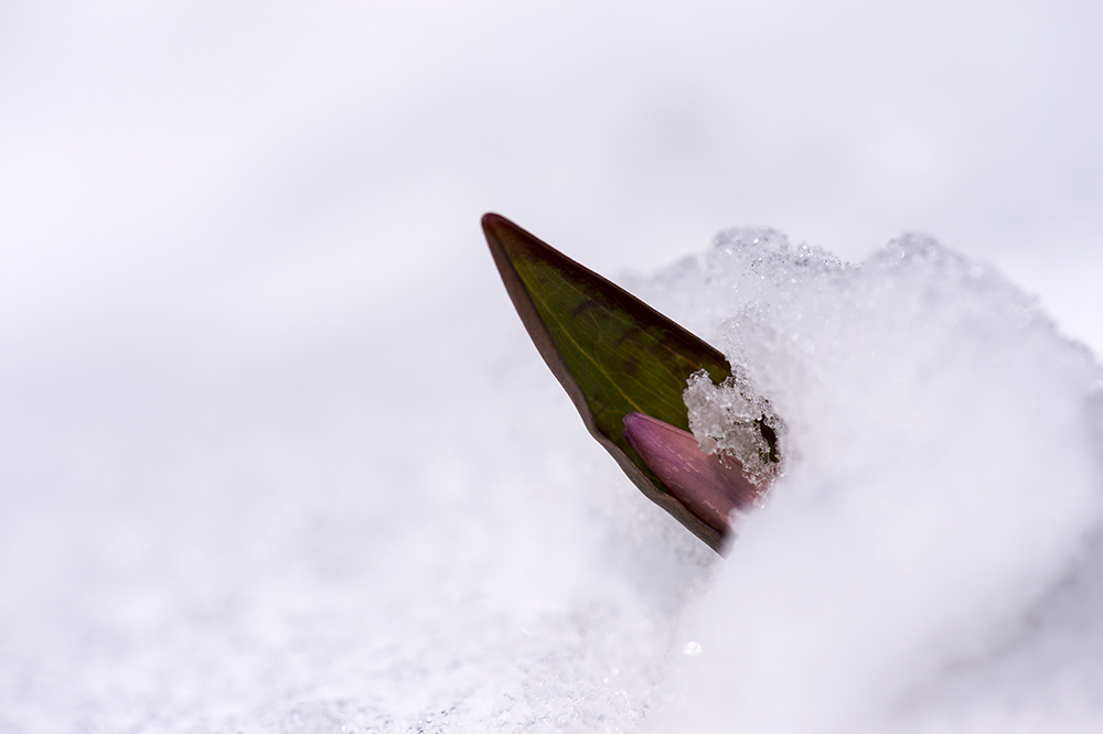 _DSC1202-1-2.jpg