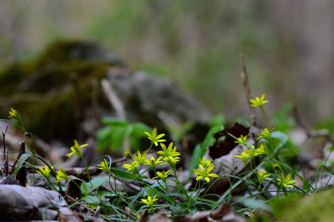 DSC_5689.JPG