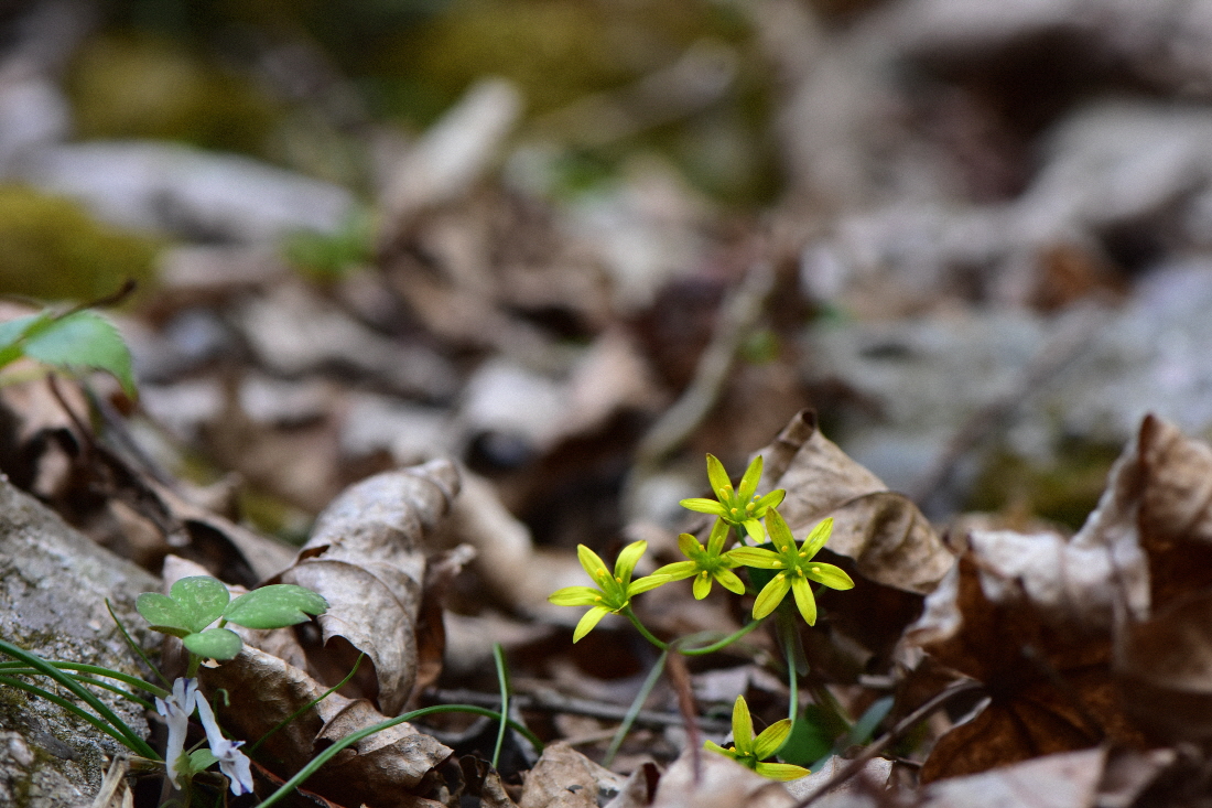 DSC_5682.JPG