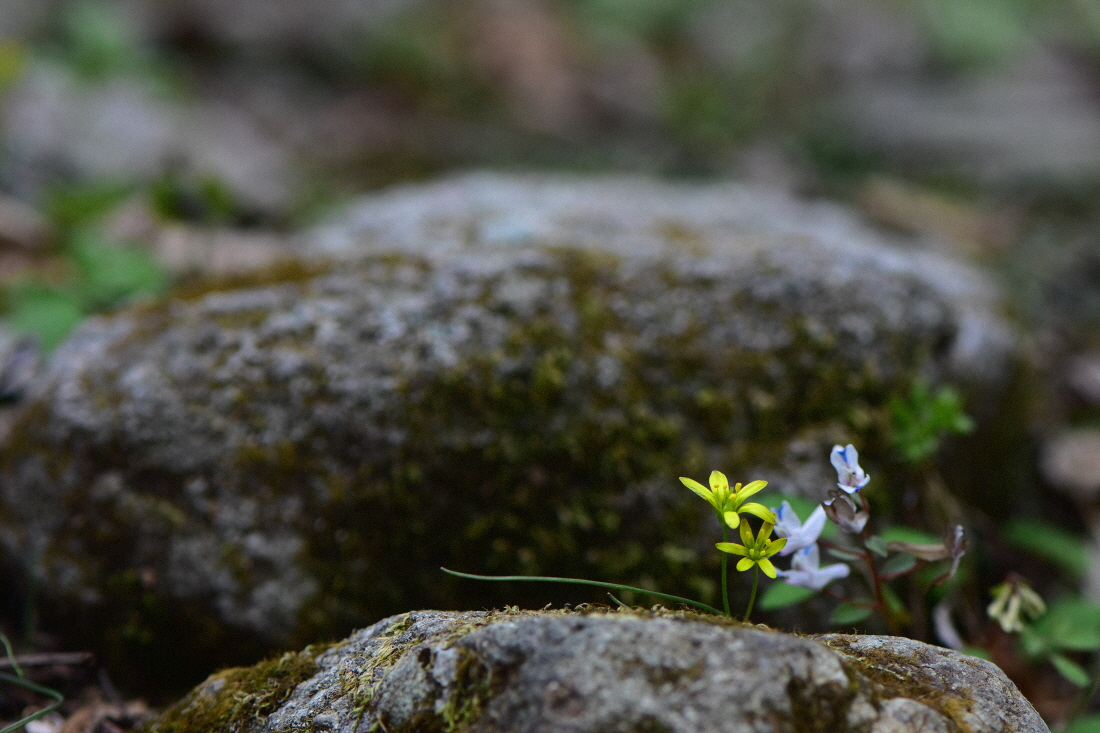 DSC_5664.JPG