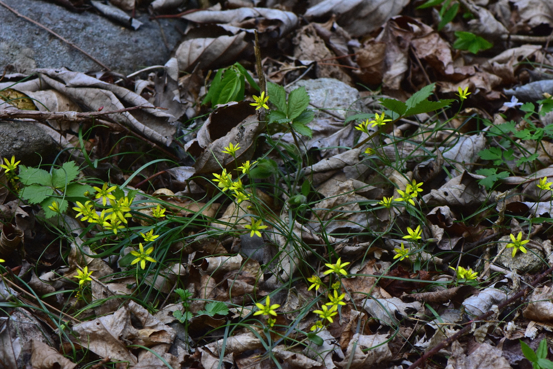 DSC_5641.JPG