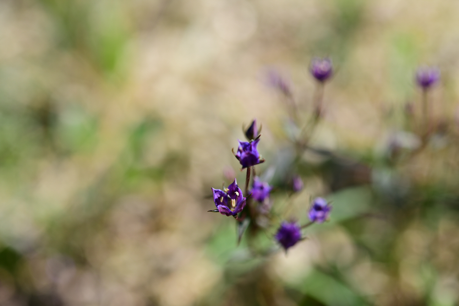 크기변환_DSC_9585.JPG