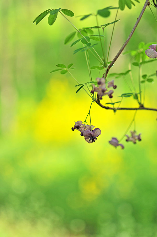 20110513_0048-1.jpg