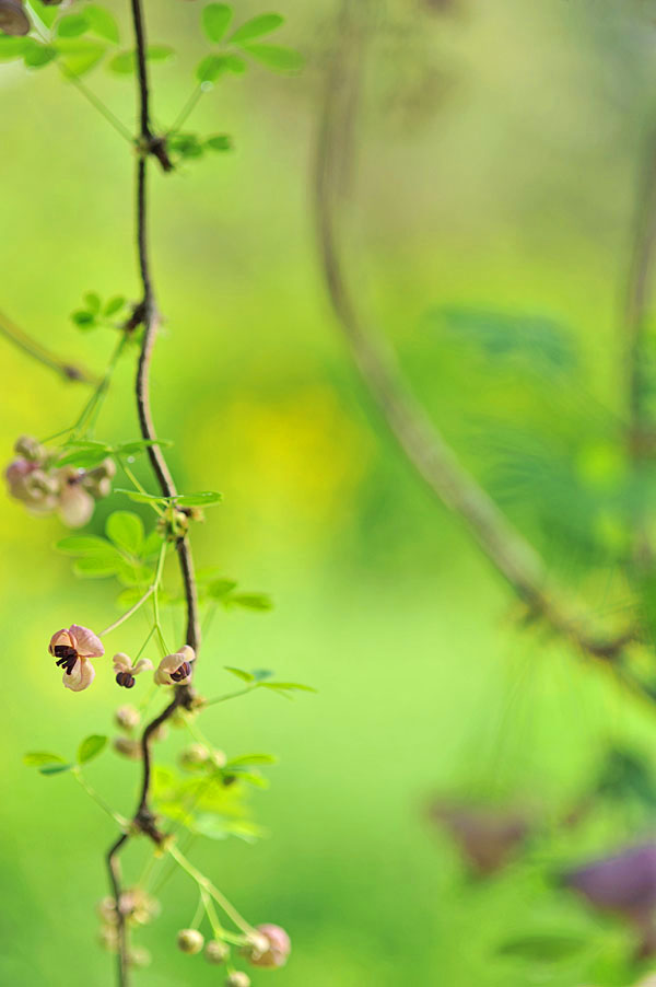 20110513_0093-1.jpg