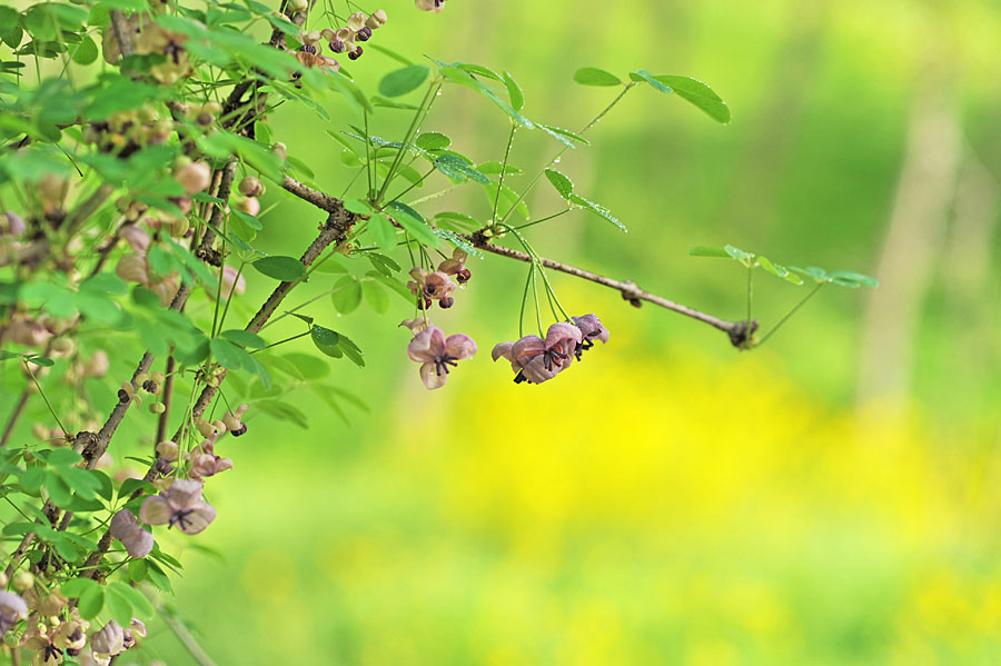 20110513_0103-1.jpg