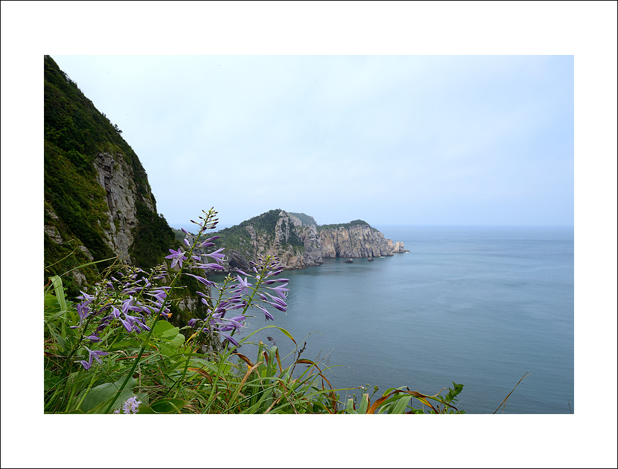 DSC_8484.jpg