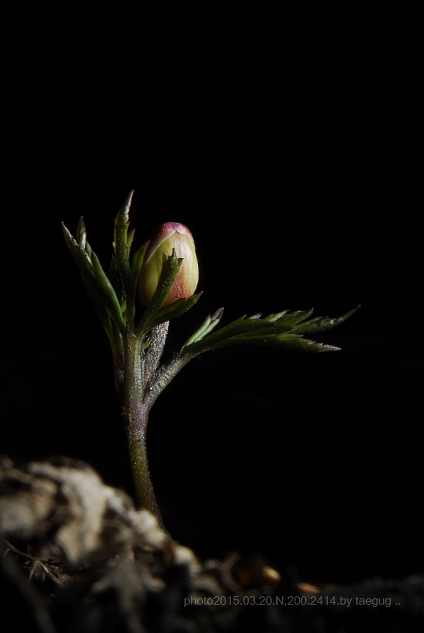 m_DSC2414.JPG
