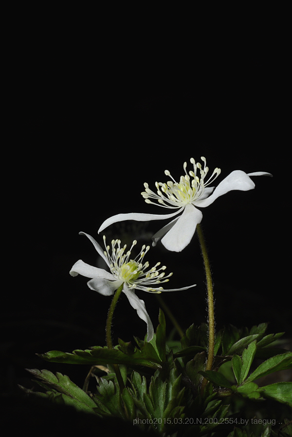 m_DSC2554.JPG