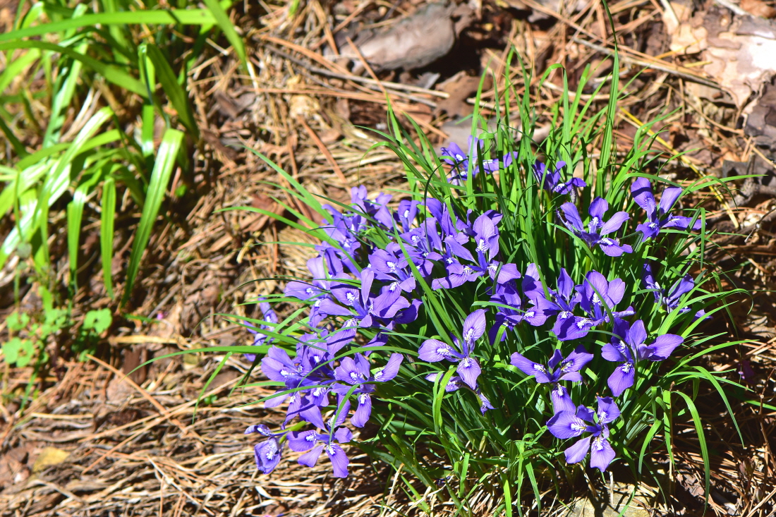 DSC_8804.JPG