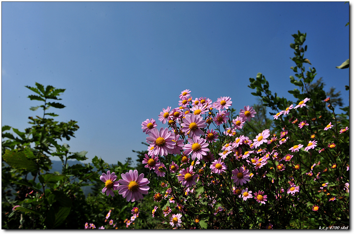 KCY_2870.jpg