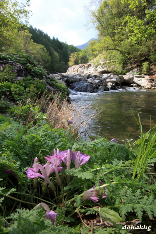 DPP_000207.jpg
