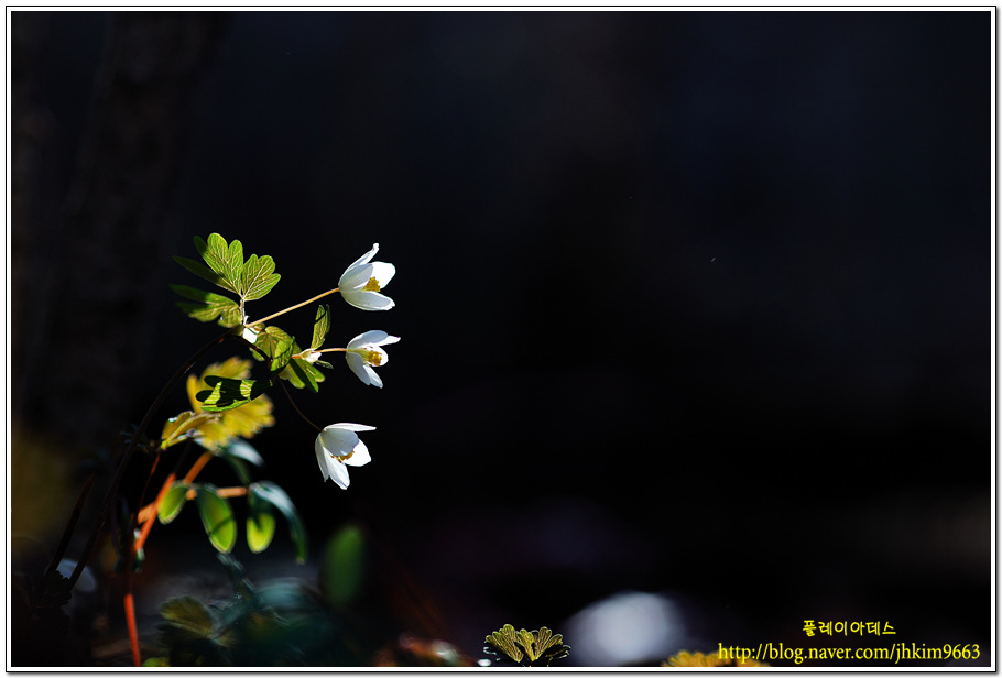 DSC_2764.jpg