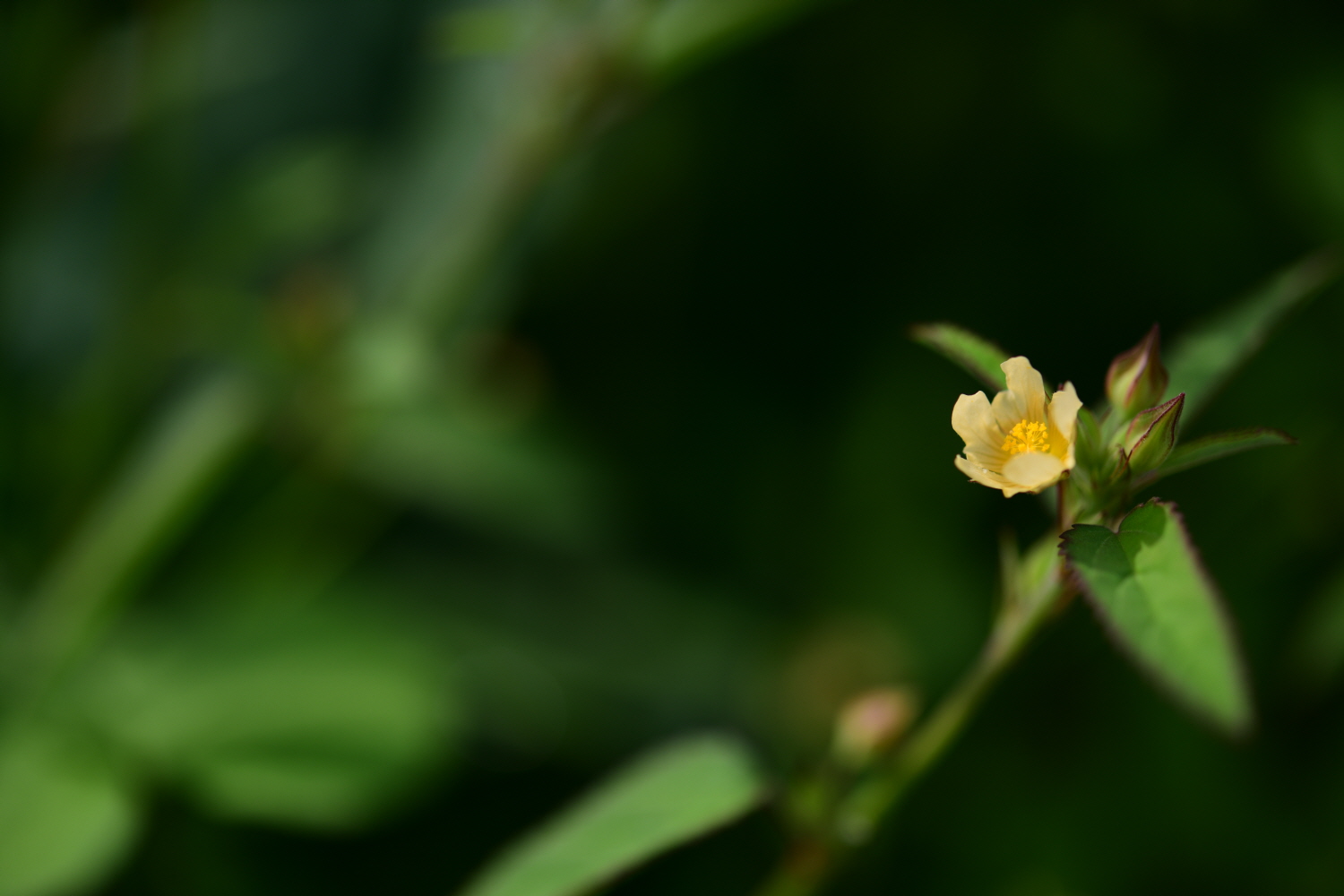 크기변환_DSC_2387.JPG