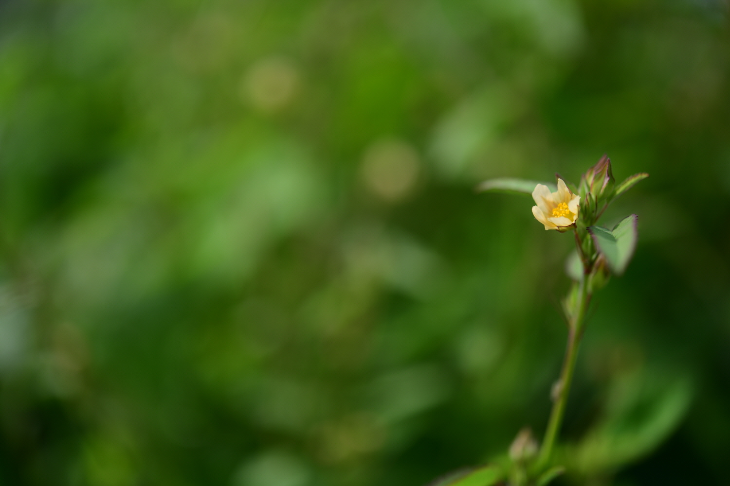 크기변환_DSC_2389.JPG