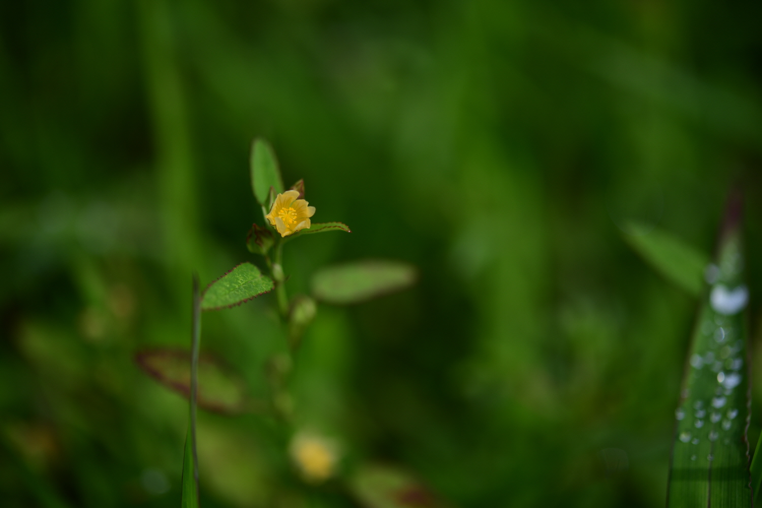 크기변환_DSC_2375.JPG