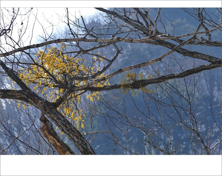 꼬리11.JPG