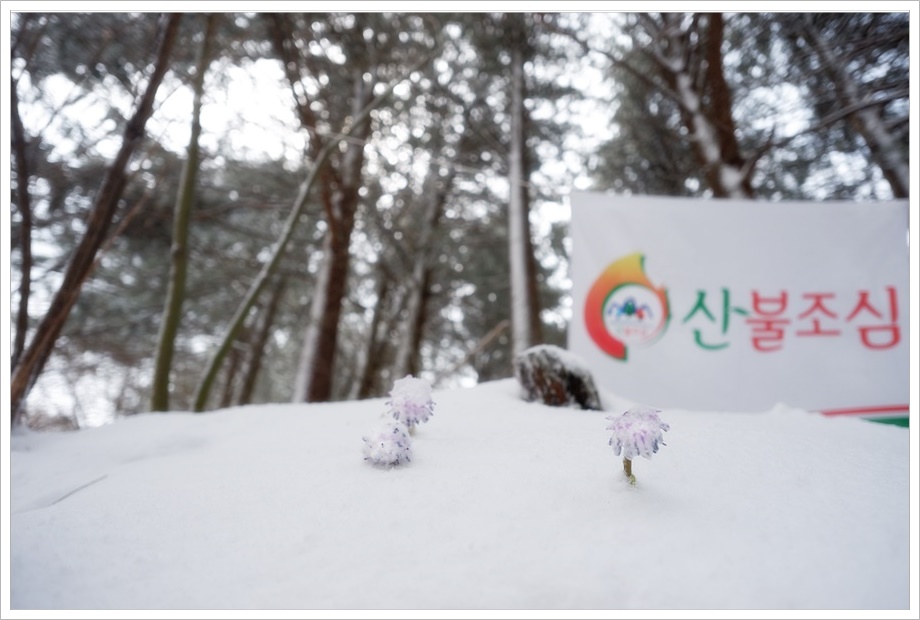 처녀7.JPG