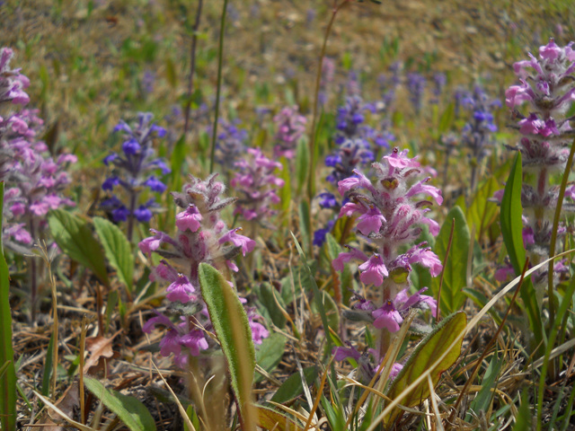 DSCN1760.jpg