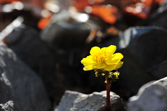 DSC_3042.jpg