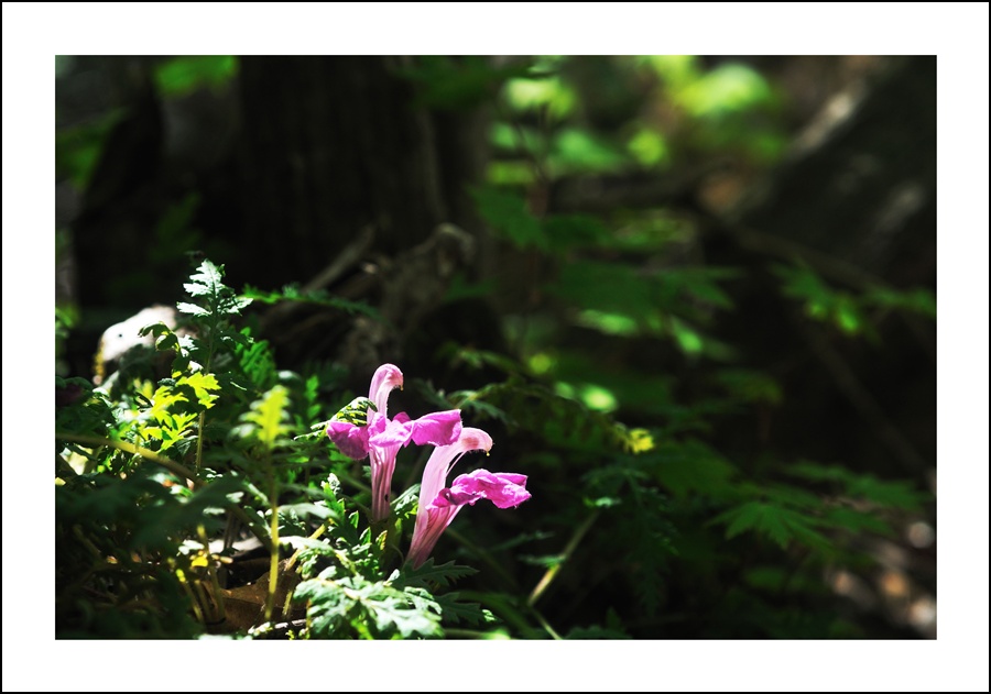 DSC_9123.jpg